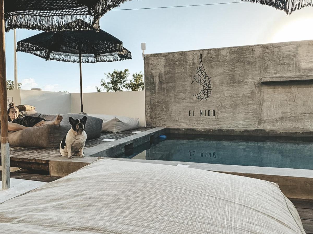Boutique Hotel El Nido Holbox المظهر الخارجي الصورة