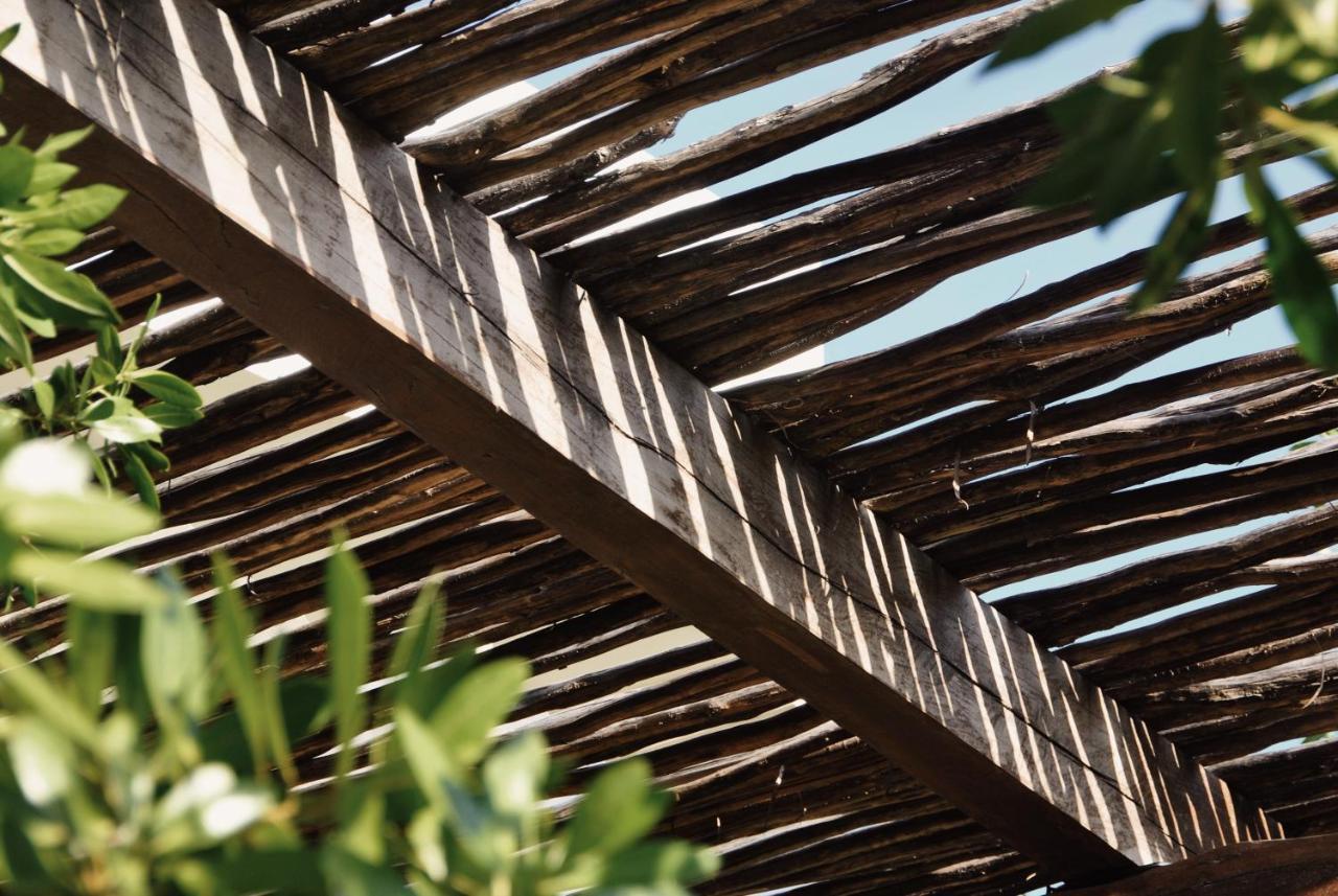 Boutique Hotel El Nido Holbox المظهر الخارجي الصورة